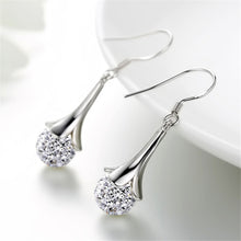 将图片加载到图库查看器,Luxury Zirconia female popular stud earrings