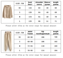 将图片加载到图库查看器,Fashion-forward fleece hoodie sweatshirts & pants winter Japanese fashion