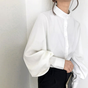 Stunning Big Lantern Sleeve Blouse