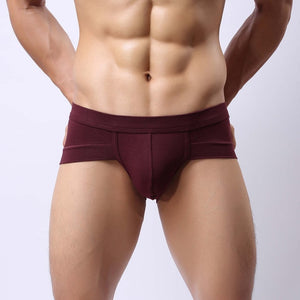 Sexy men's underpants