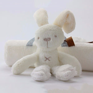 Rabbit baby hanging