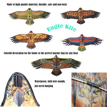 将图片加载到图库查看器，Huge Eagle Kite
