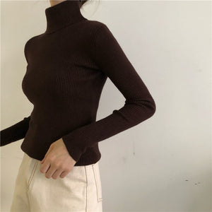 Casual Turtleneck Slim Knitted Sweater