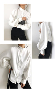 Stunning Big Lantern Sleeve Blouse